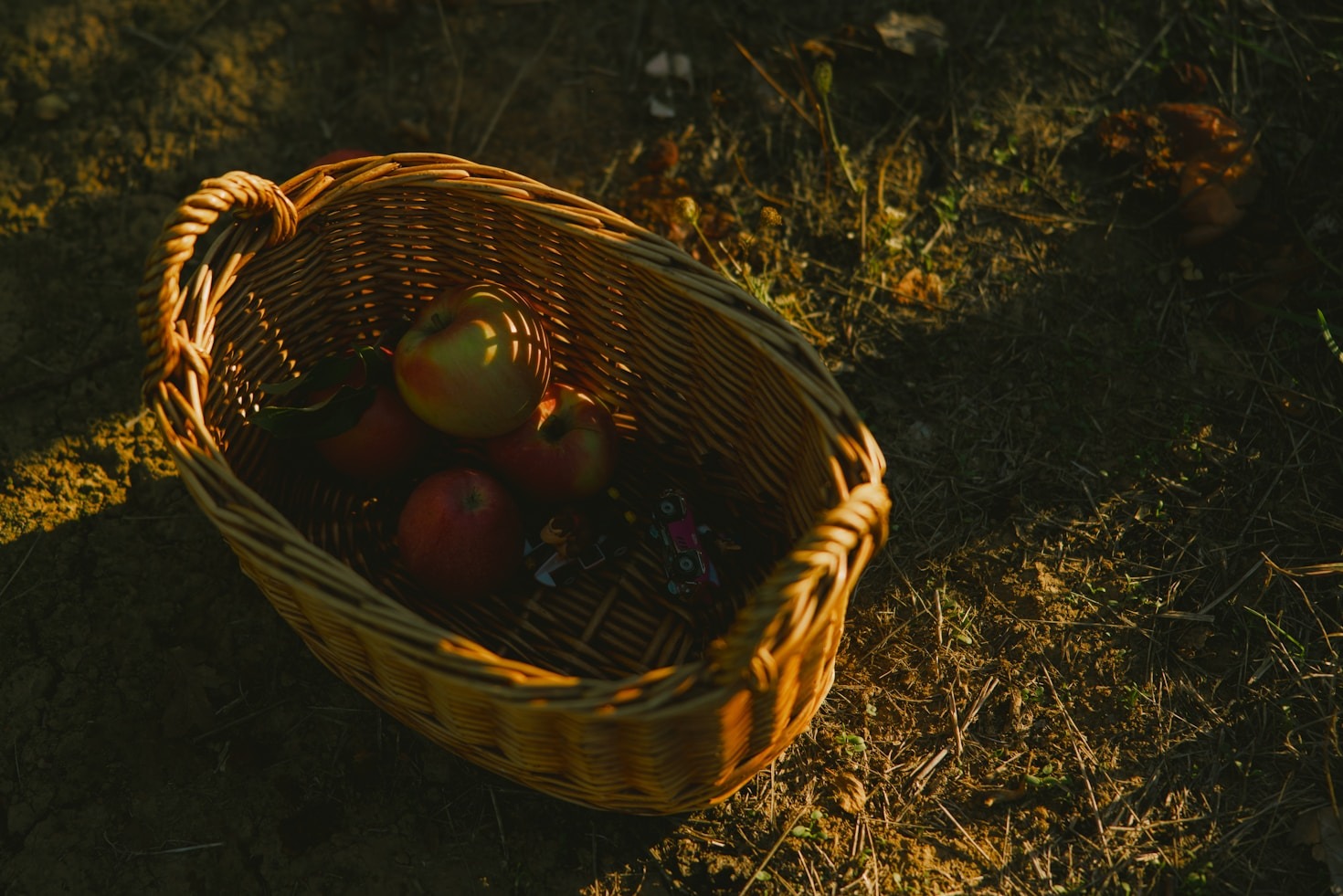 Kodused maitseained ja nende kasutusvõimalused